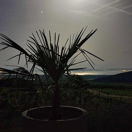 Panorama, Balaton Villa Dörgicse Dış mekan fotoğraf